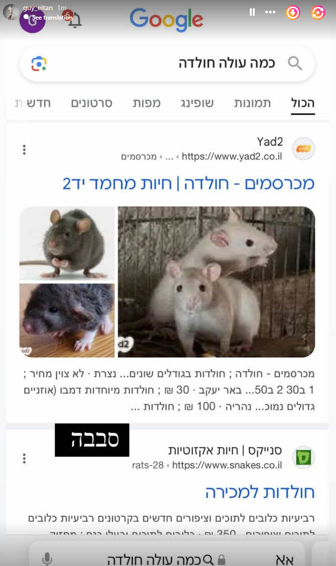 הסלבס יוצאים על רון חולדאי בשל איסור התפילות בתל אביב: "מי אתה בכלל חצוף!"